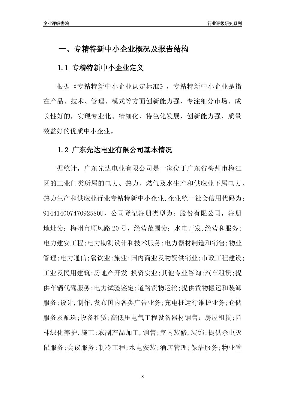 [专精特新]广东先达电业有限公司行业竞争力评级分析报告(2023版)_第3页