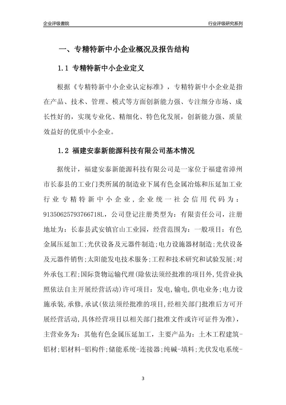 [专精特新]福建安泰新能源科技有限公司行业竞争力评级分析报告(2023版)_第3页