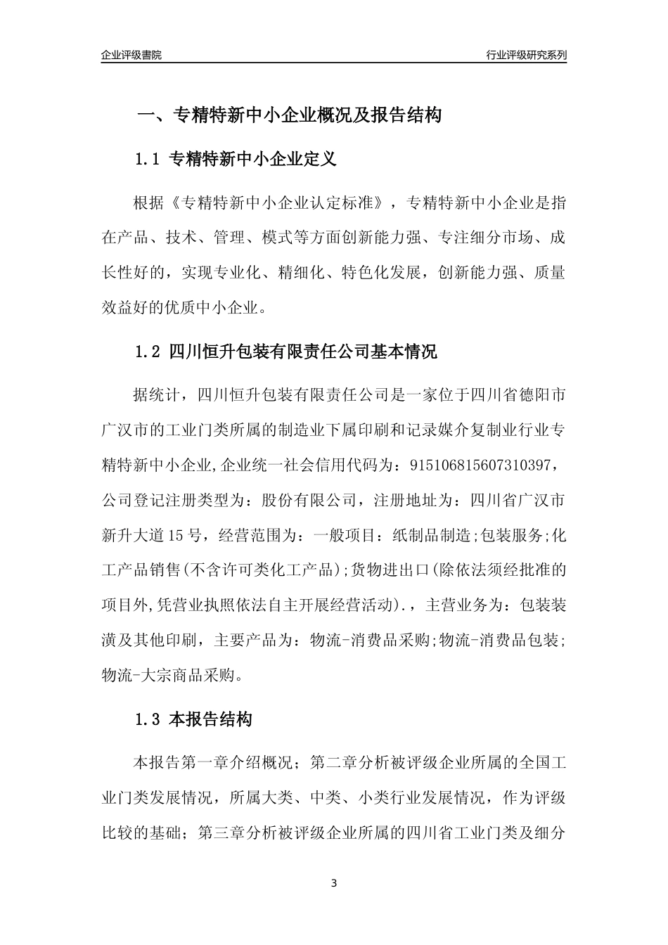 [专精特新]四川恒升包装有限责任公司行业竞争力评级分析报告(2023版)_第3页