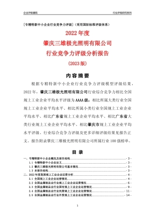 [专精特新]肇庆三雄极光照明有限公司行业竞争力评级分析报告(2023版)