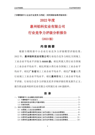 [专精特新]惠州铂科实业有限公司行业竞争力评级分析报告(2023版)