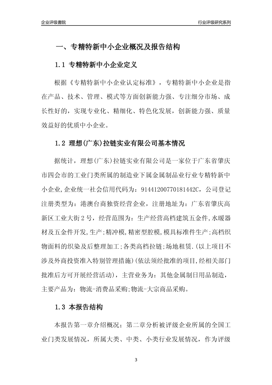 [专精特新]理想(广东)拉链实业有限公司行业竞争力评级分析报告(2023版)_第3页
