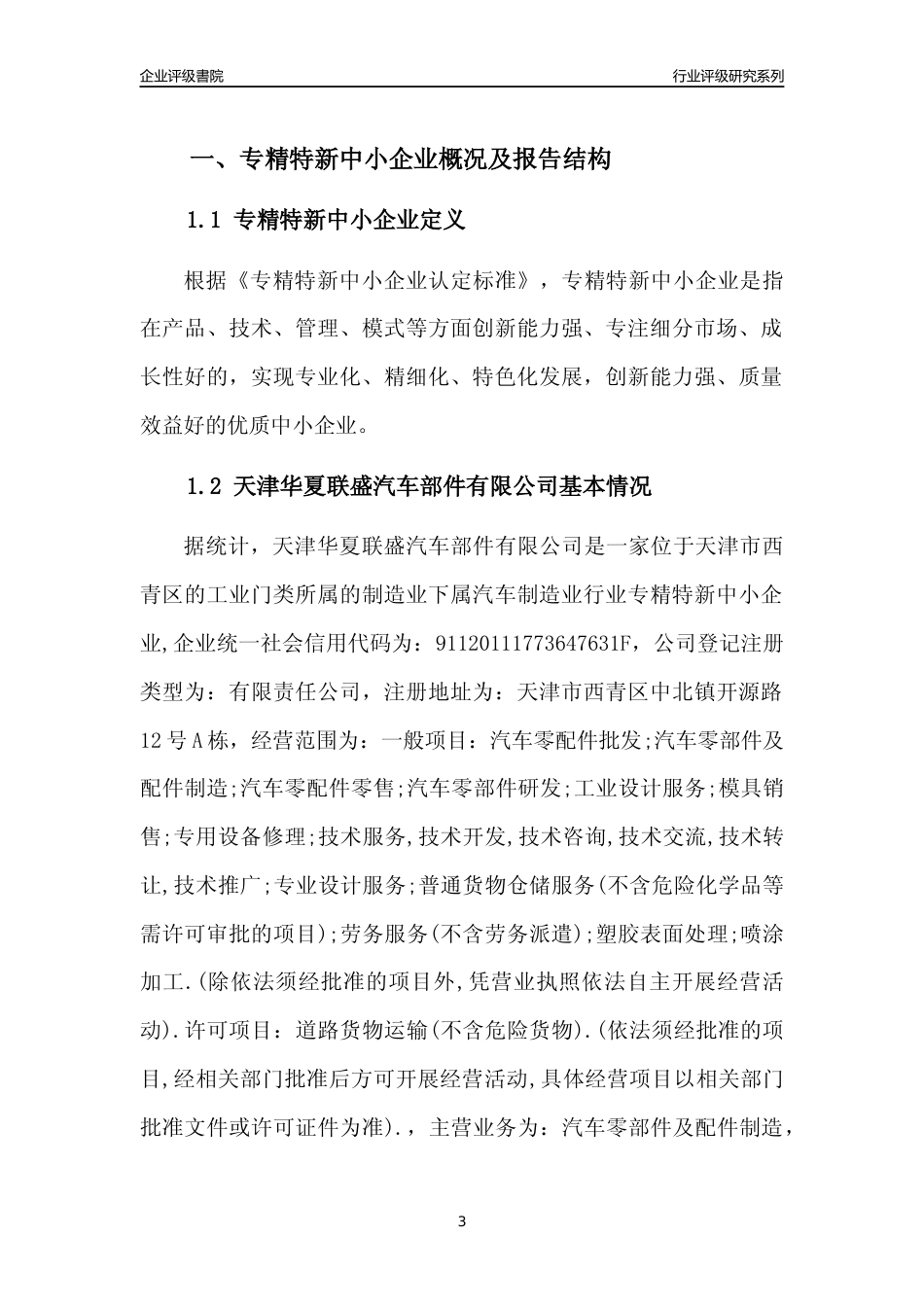 [专精特新]天津华夏联盛汽车部件有限公司行业竞争力评级分析报告(2023版)_第3页