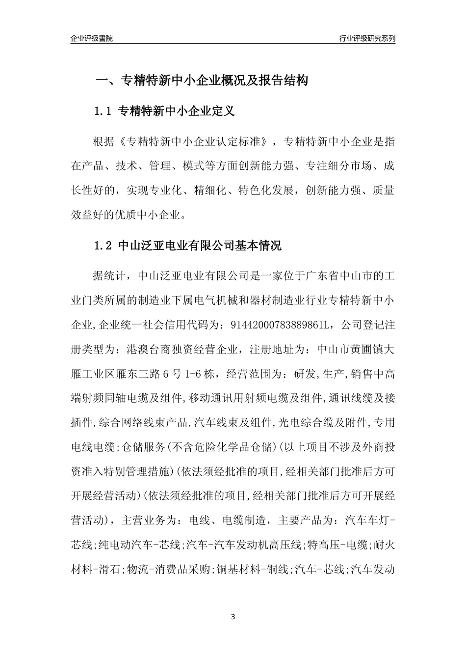 [专精特新]中山泛亚电业有限公司行业竞争力评级分析报告(2023版)_第3页