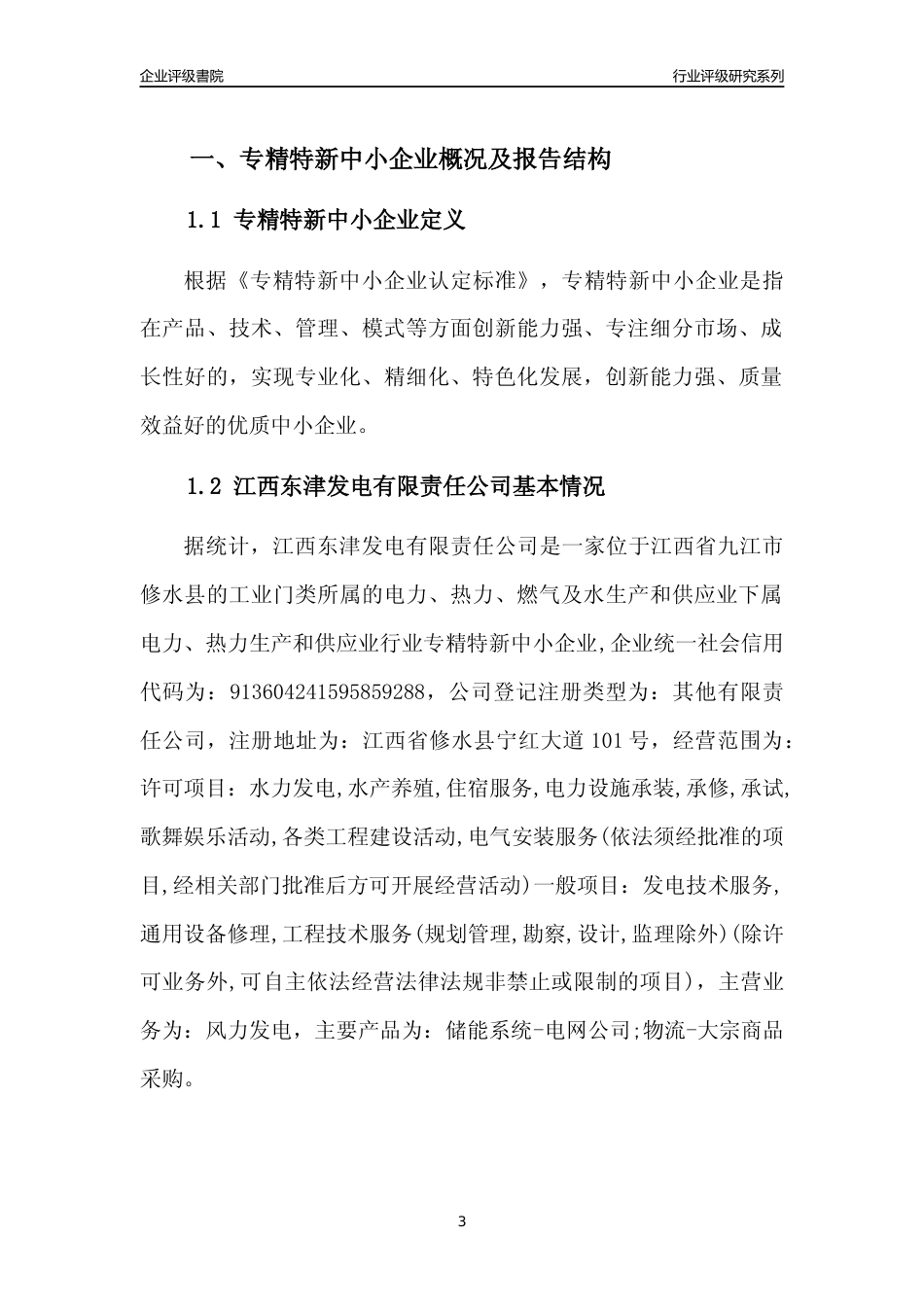 [专精特新]江西东津发电有限责任公司行业竞争力评级分析报告(2023版)_第3页