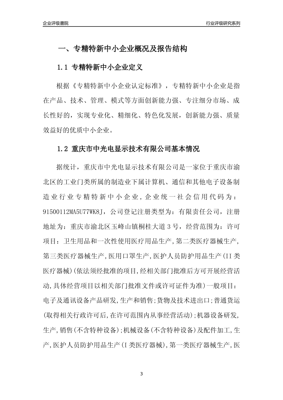 [专精特新]重庆市中光电显示技术有限公司行业竞争力评级分析报告(2023版)_第3页