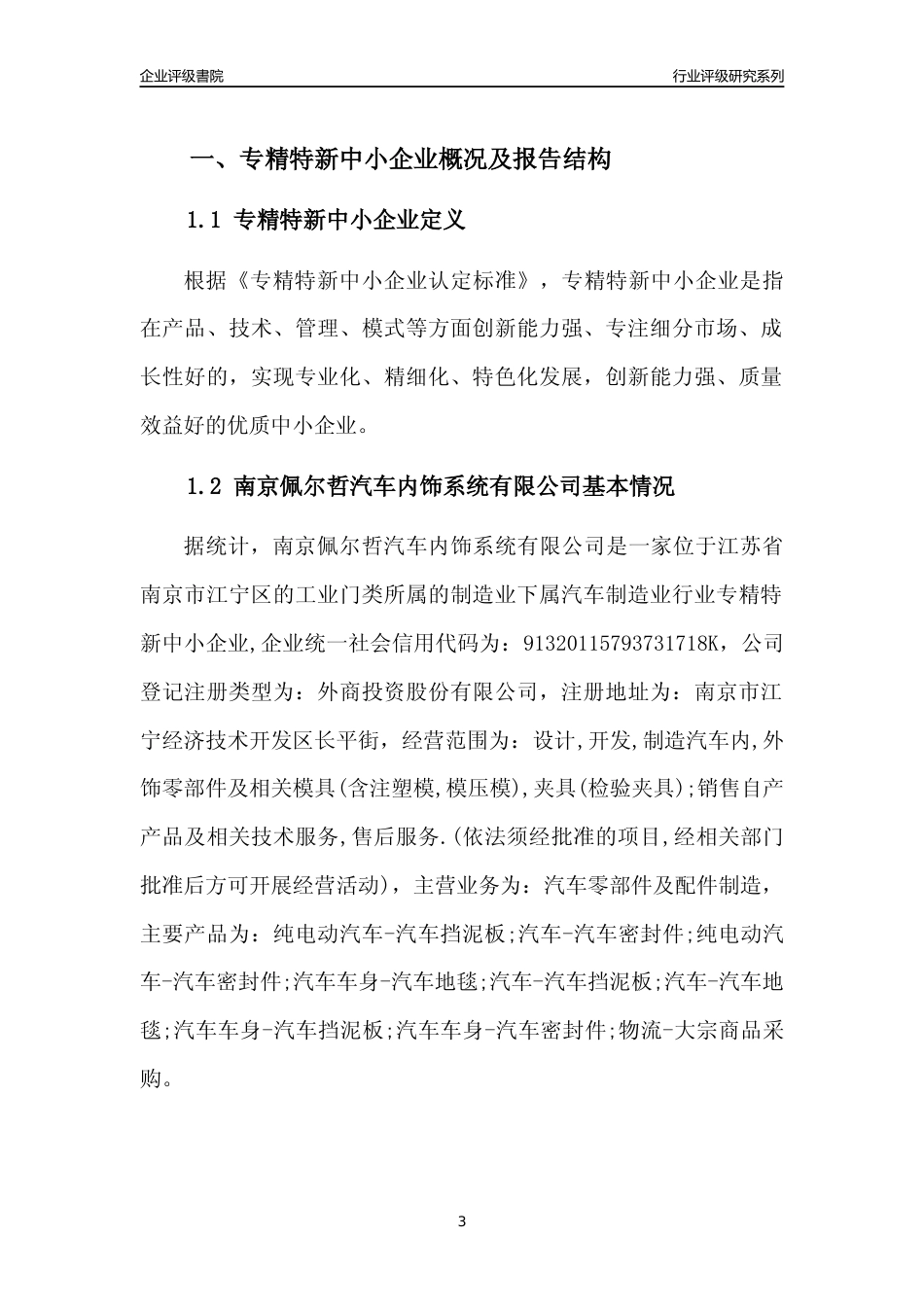 [专精特新]南京佩尔哲汽车内饰系统有限公司行业竞争力评级分析报告(2023版)_第3页