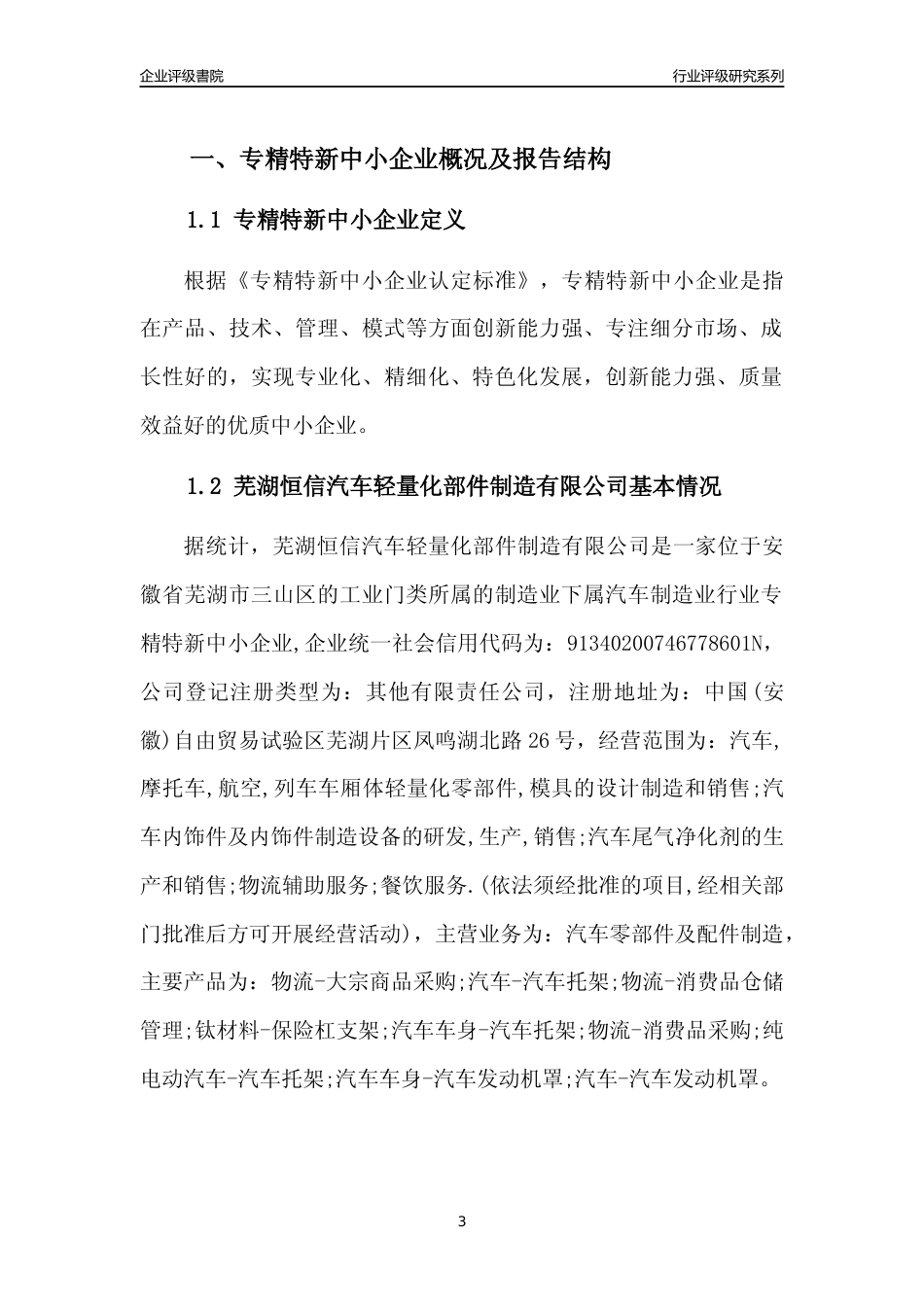[专精特新]芜湖恒信汽车轻量化部件制造有限公司行业竞争力评级分析报告(2023版)_第3页