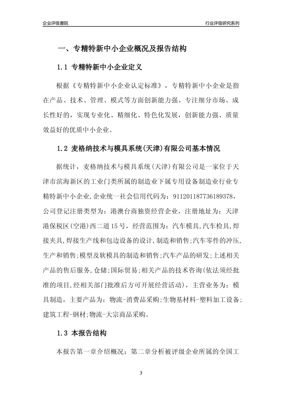 [专精特新]麦格纳技术与模具系统(天津)有限公司行业竞争力评级分析报告(2023版)_第3页