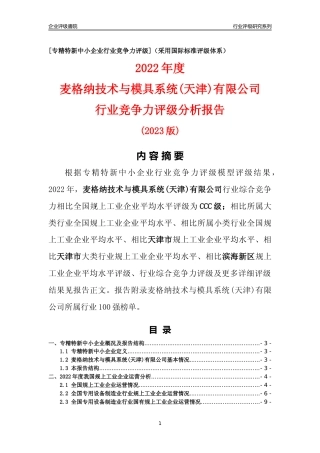 [专精特新]麦格纳技术与模具系统(天津)有限公司行业竞争力评级分析报告(2023版)