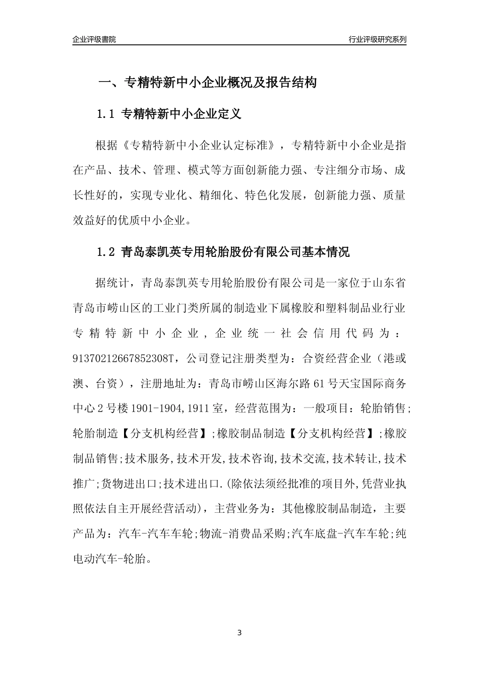 [专精特新]青岛泰凯英专用轮胎股份有限公司行业竞争力评级分析报告(2023版)_第3页