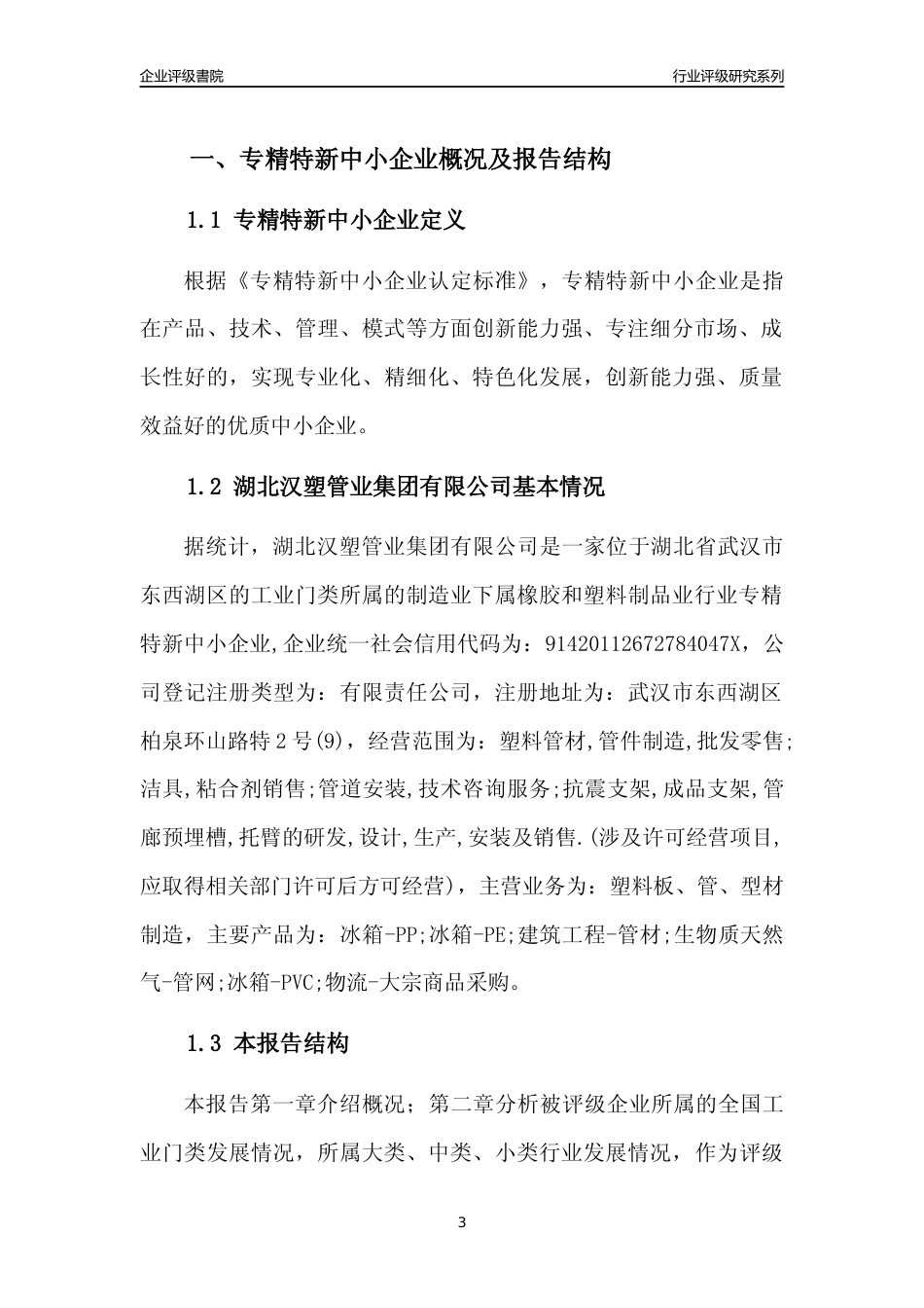 [专精特新]湖北汉塑管业集团有限公司行业竞争力评级分析报告(2023版)_第3页