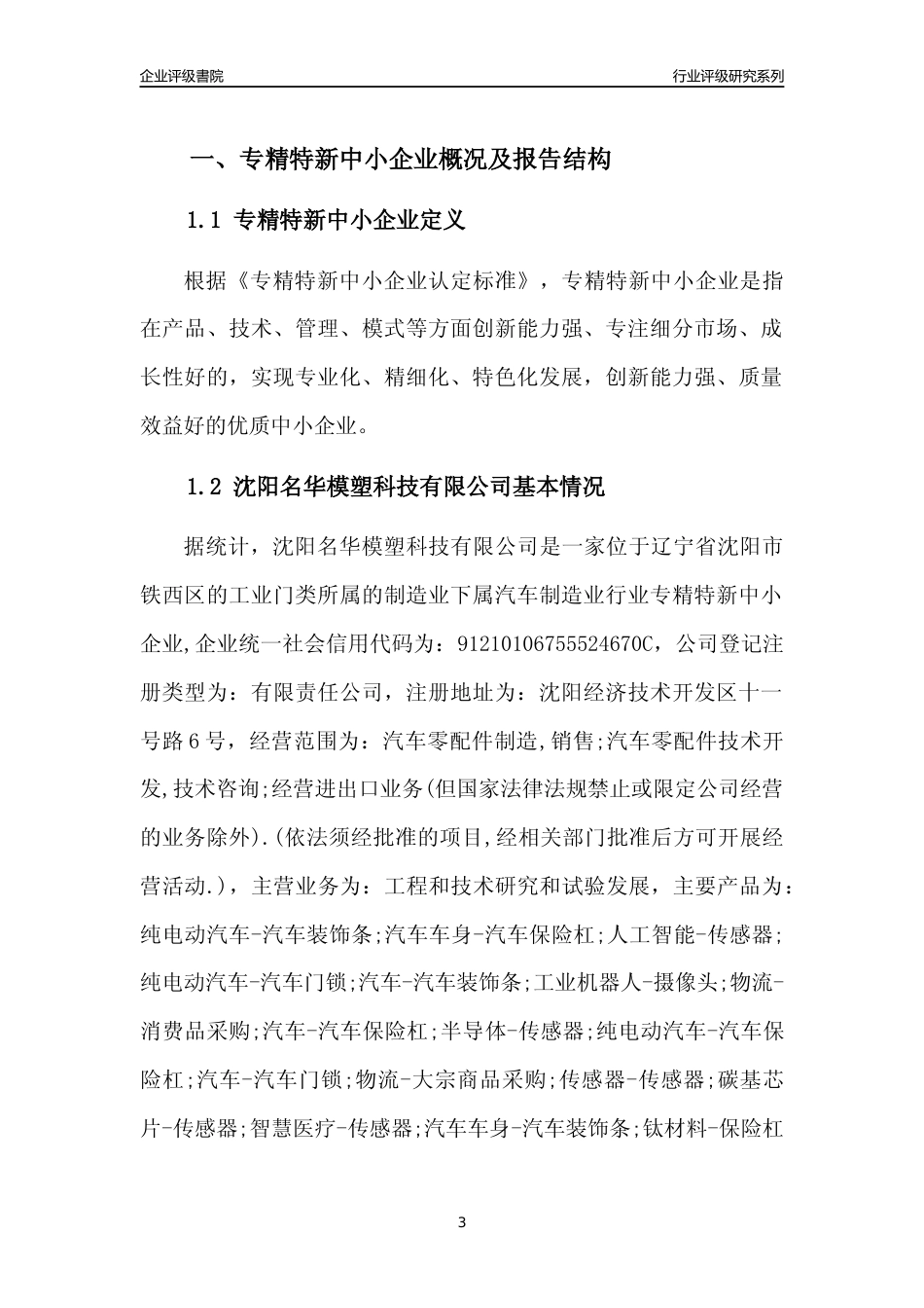 [专精特新]沈阳名华模塑科技有限公司行业竞争力评级分析报告(2023版)_第3页