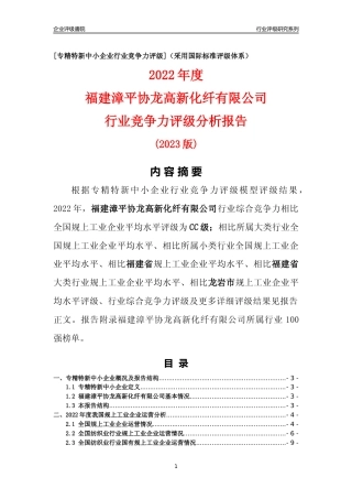 [专精特新]福建漳平协龙高新化纤有限公司行业竞争力评级分析报告(2023版)