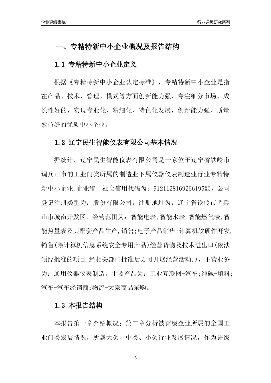 [专精特新]辽宁民生智能仪表有限公司行业竞争力评级分析报告(2023版)_第3页