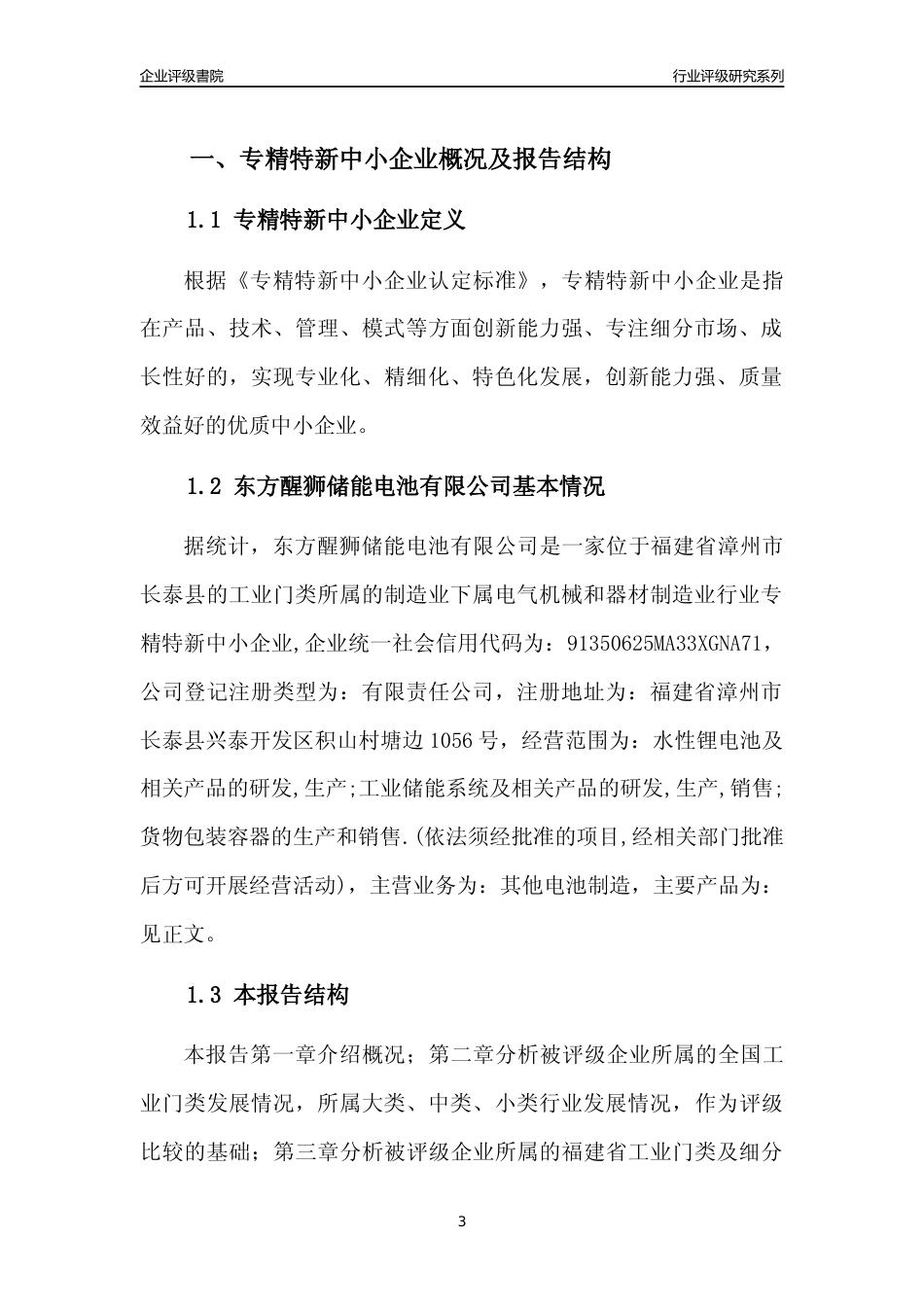 [专精特新]东方醒狮储能电池有限公司行业竞争力评级分析报告(2023版)_第3页