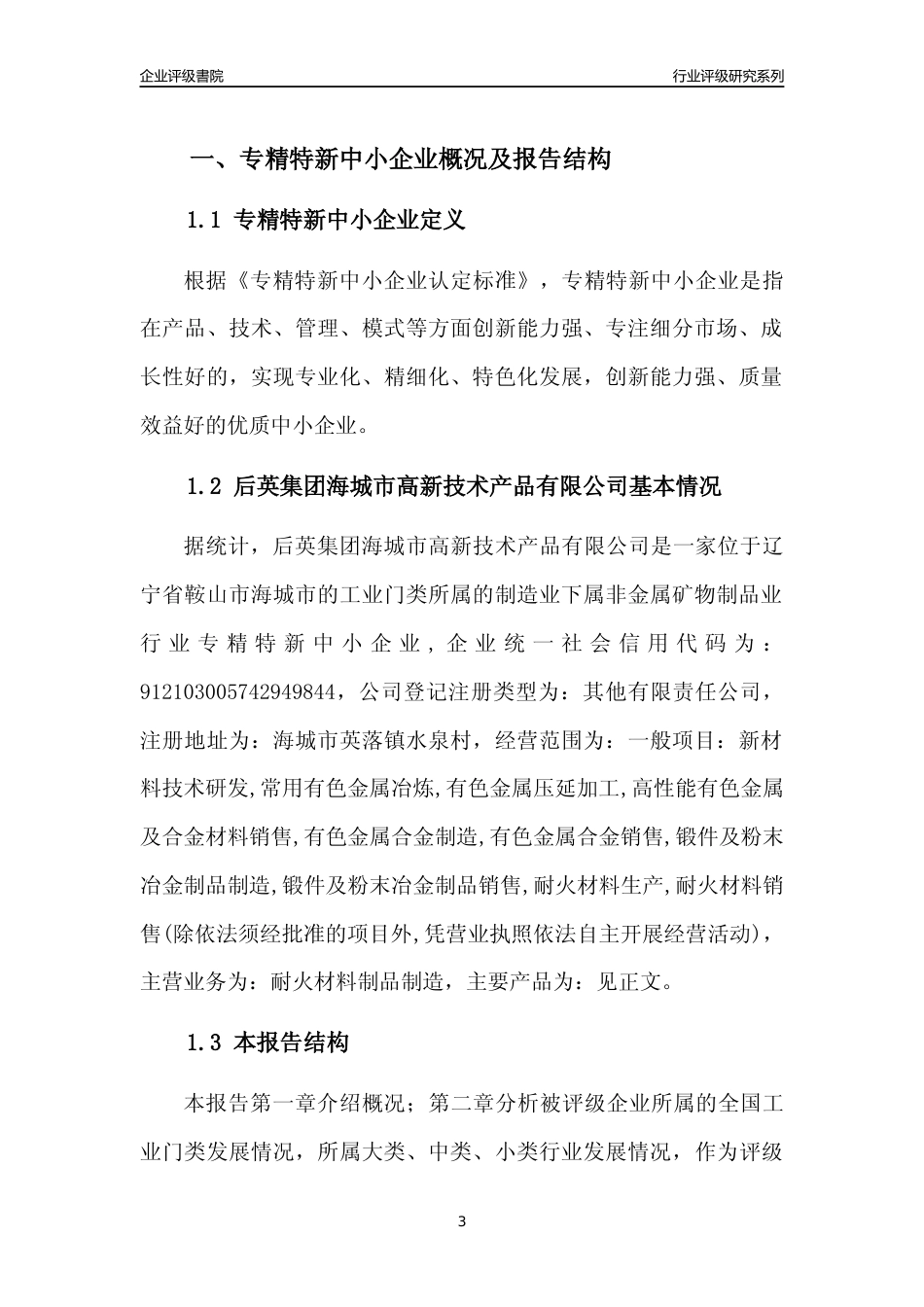 [专精特新]后英集团海城市高新技术产品有限公司行业竞争力评级分析报告(2023版)_第3页