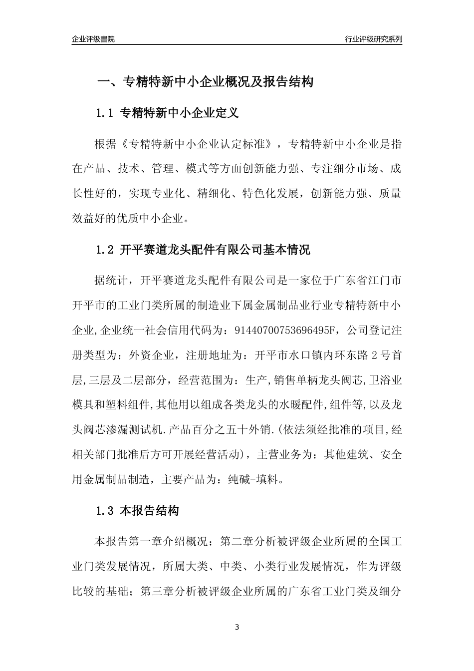 [专精特新]开平赛道龙头配件有限公司行业竞争力评级分析报告(2023版)_第3页