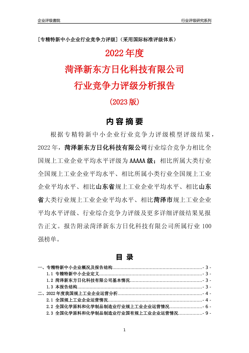 [专精特新]菏泽新东方日化科技有限公司行业竞争力评级分析报告(2023版)_第1页