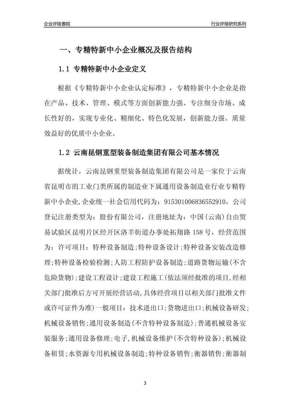 [专精特新]云南昆钢重型装备制造集团有限公司行业竞争力评级分析报告(2023版)_第3页
