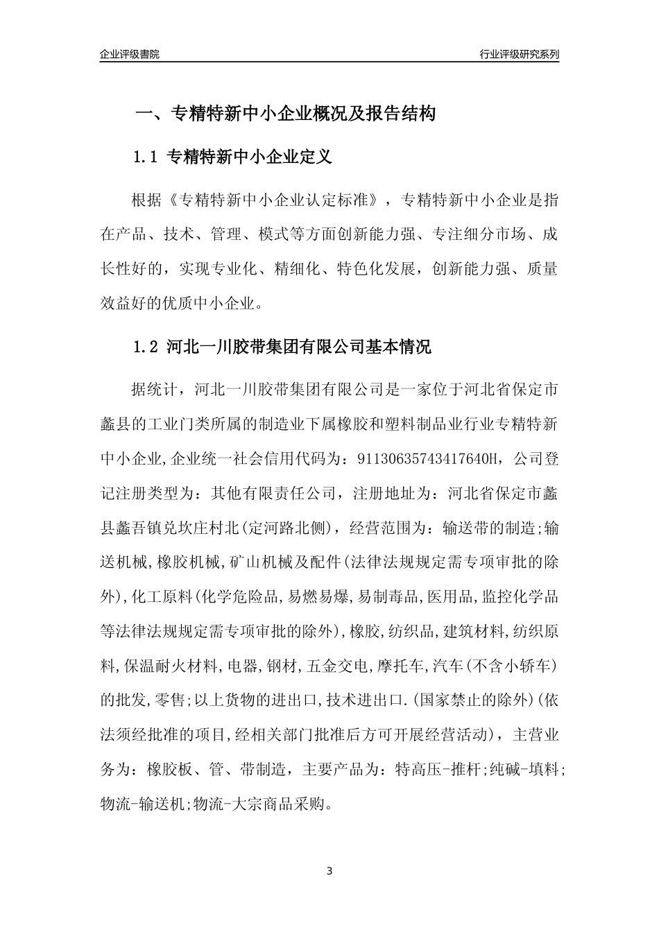 [专精特新]河北一川胶带集团有限公司行业竞争力评级分析报告(2023版)_第3页
