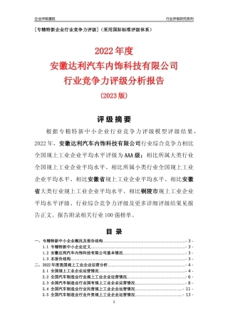 [专精特新]安徽达利汽车内饰科技有限公司行业竞争力评级分析报告(2023版)