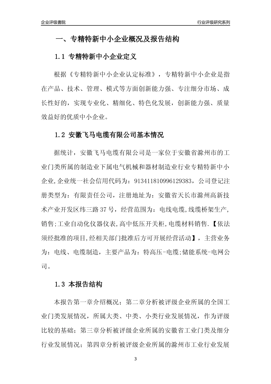 [专精特新]安徽飞马电缆有限公司行业竞争力评级分析报告(2023版)_第3页