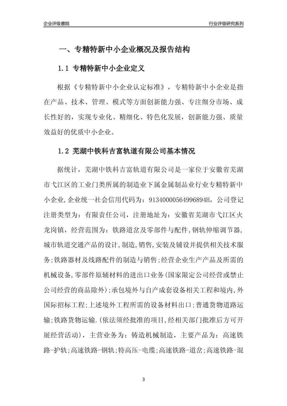 [专精特新]芜湖中铁科吉富轨道有限公司行业竞争力评级分析报告(2023版)_第3页