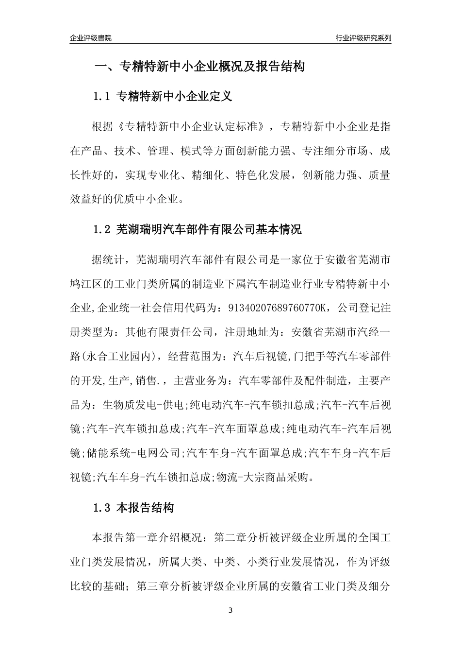 [专精特新]芜湖瑞明汽车部件有限公司行业竞争力评级分析报告(2023版)_第3页