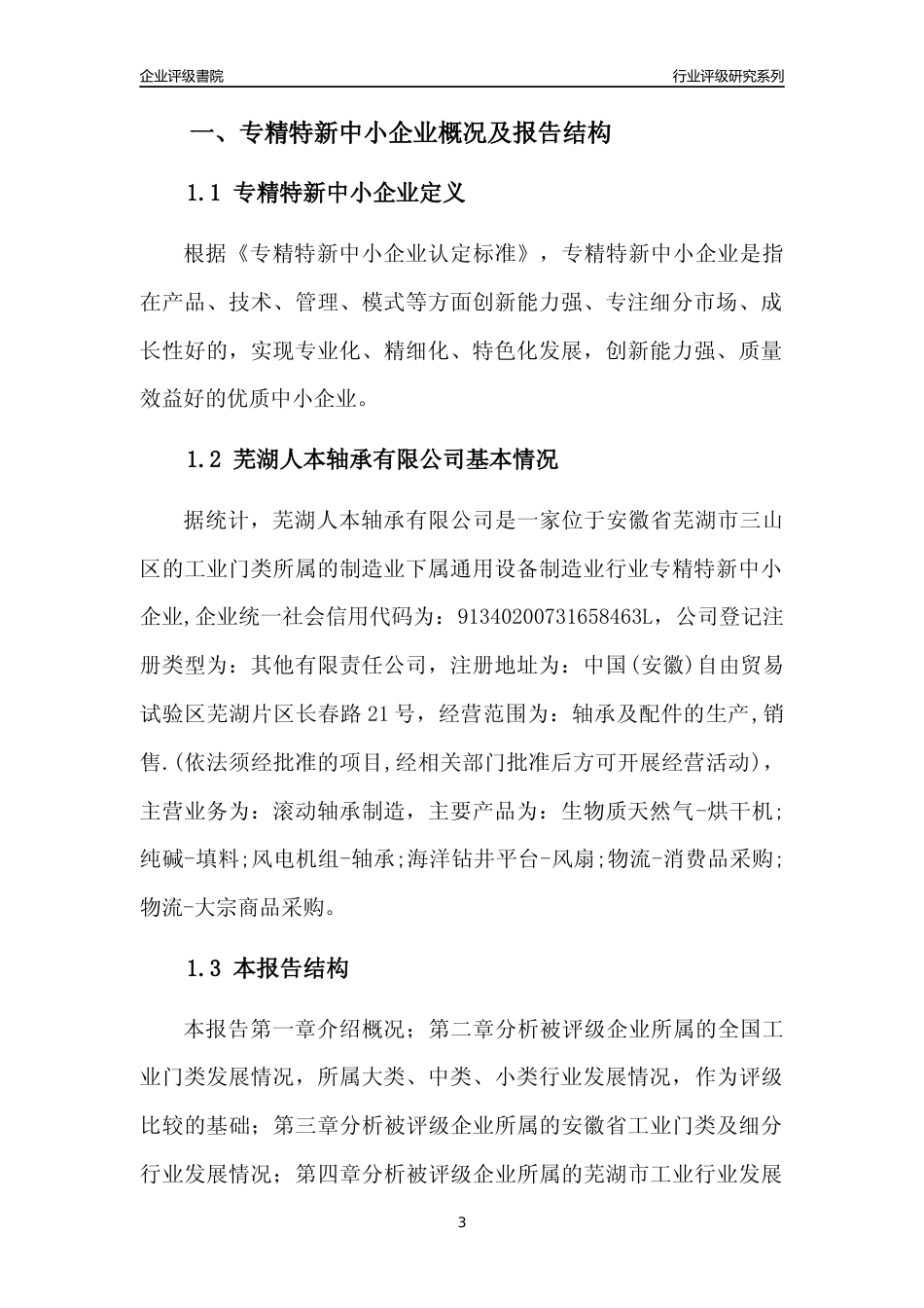 [专精特新]芜湖人本轴承有限公司行业竞争力评级分析报告(2023版)_第3页