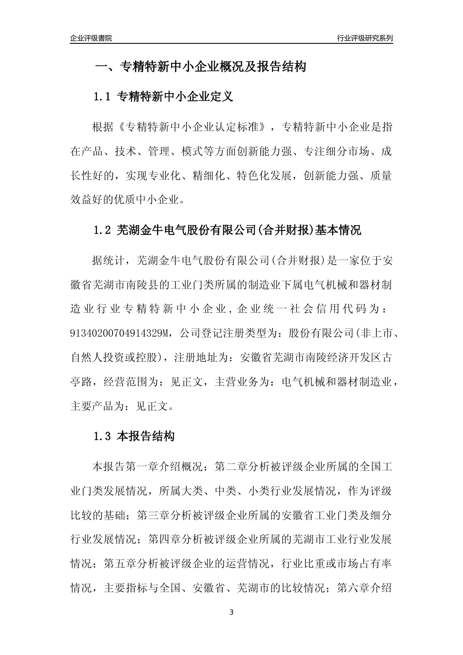 [专精特新]芜湖金牛电气股份有限公司(合并财报)行业竞争力评级分析报告(2023版)_第3页
