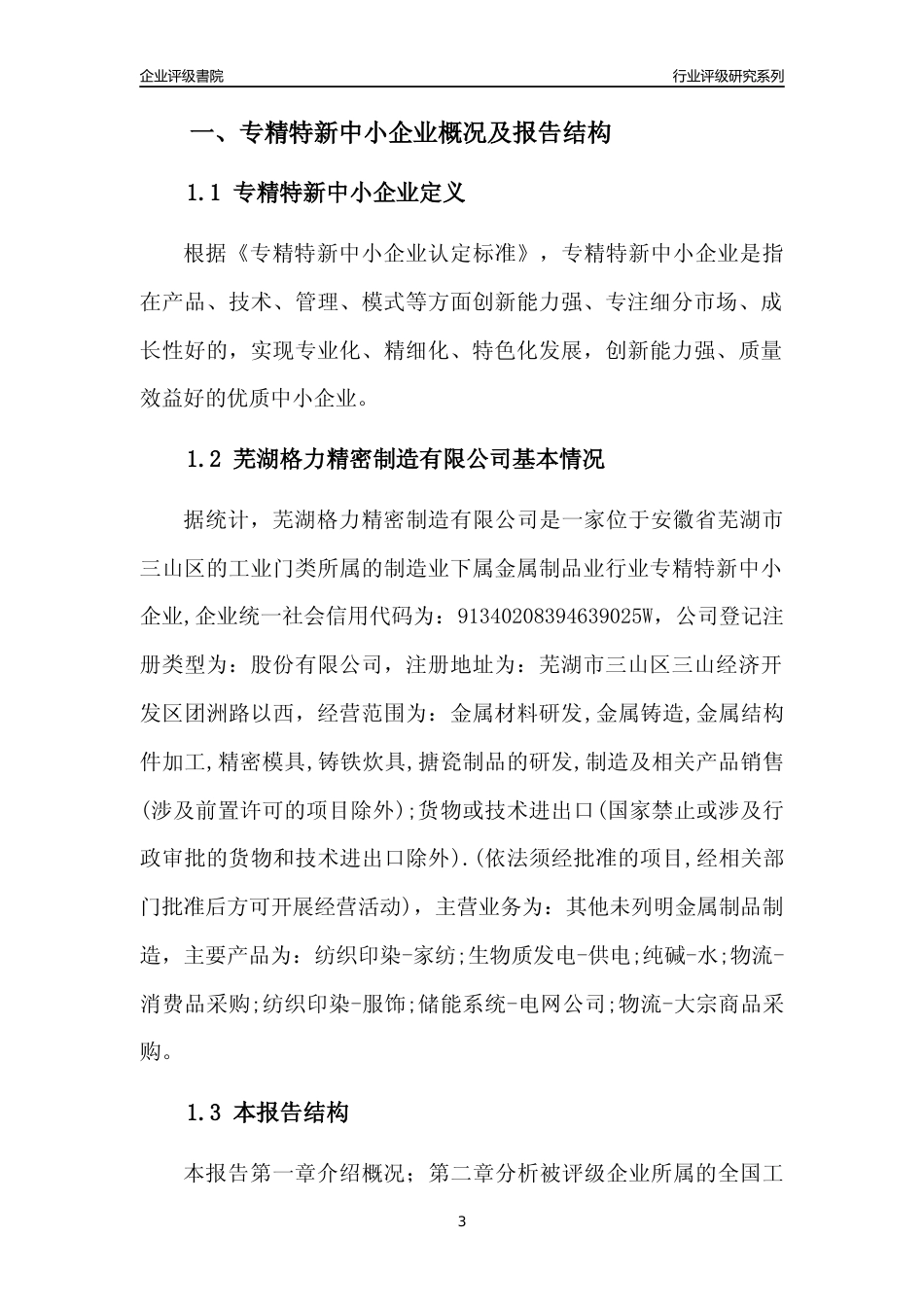 [专精特新]芜湖格力精密制造有限公司行业竞争力评级分析报告(2023版)_第3页
