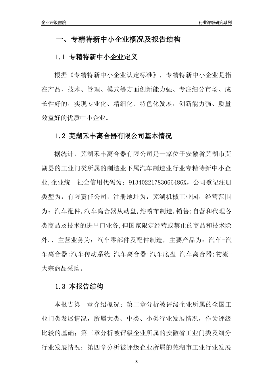 [专精特新]芜湖禾丰离合器有限公司行业竞争力评级分析报告(2023版)_第3页