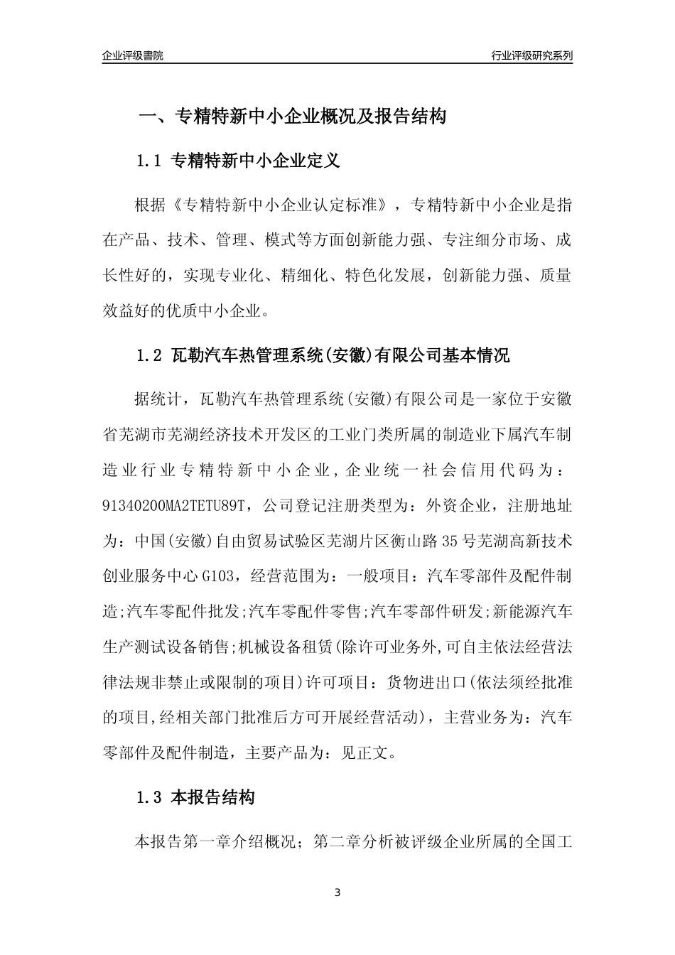[专精特新]瓦勒汽车热管理系统(安徽)有限公司行业竞争力评级分析报告(2023版)_第3页