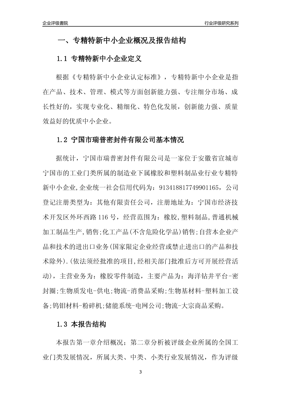 [专精特新]宁国市瑞普密封件有限公司行业竞争力评级分析报告(2023版)_第3页