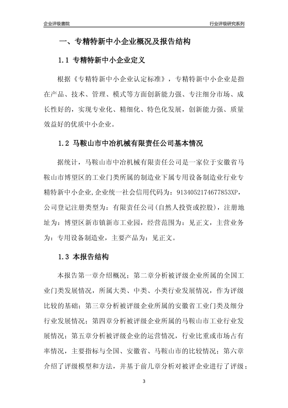 [专精特新]马鞍山市中冶机械有限责任公司行业竞争力评级分析报告(2023版)_第3页