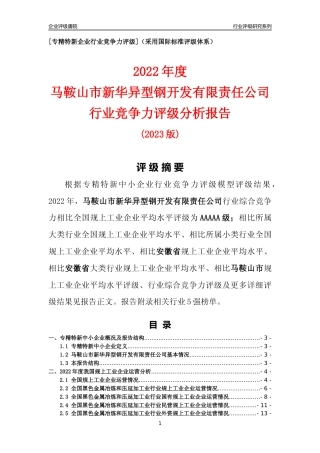 [专精特新]马鞍山市新华异型钢开发有限责任公司行业竞争力评级分析报告(2023版)