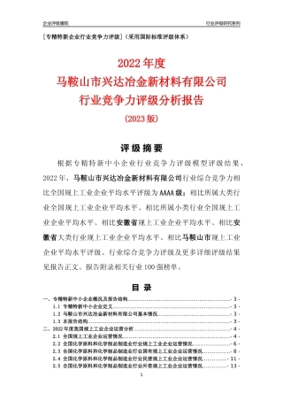 [专精特新]马鞍山市兴达冶金新材料有限公司行业竞争力评级分析报告(2023版)