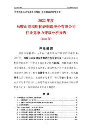 [专精特新]马鞍山市福明仪表制造股份有限公司行业竞争力评级分析报告(2023版)