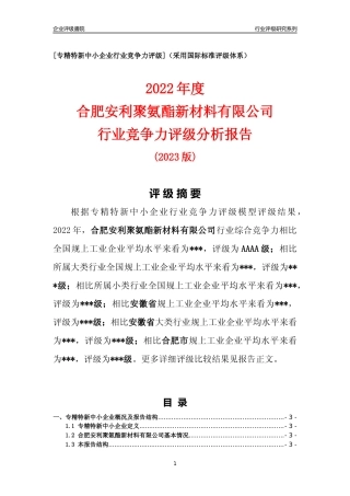 [专精特新]合肥安利聚氨酯新材料有限公司行业竞争力评级分析报告(2023版)