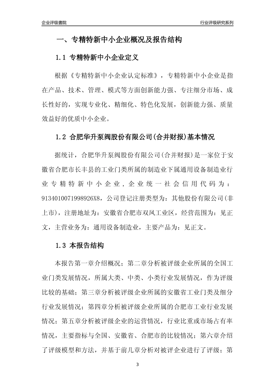 [专精特新]合肥华升泵阀股份有限公司(合并财报)行业竞争力评级分析报告(2023版)_第3页