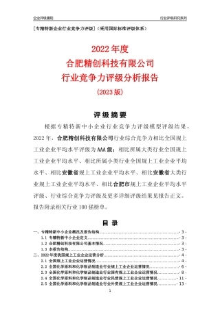 [专精特新]合肥精创科技有限公司行业竞争力评级分析报告(2023版)