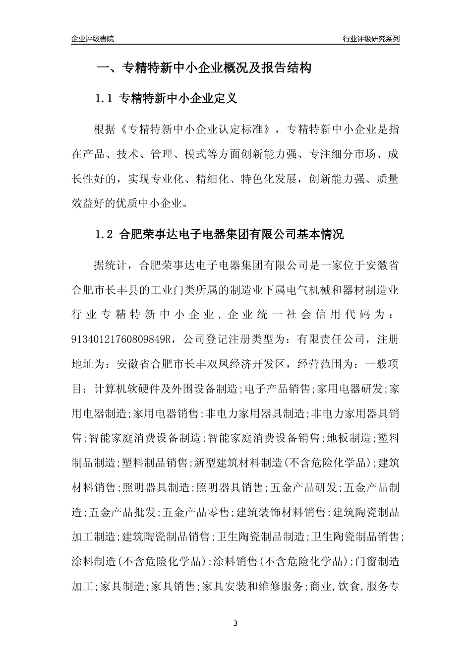 [专精特新]合肥荣事达电子电器集团有限公司行业竞争力评级分析报告(2023版)_第3页