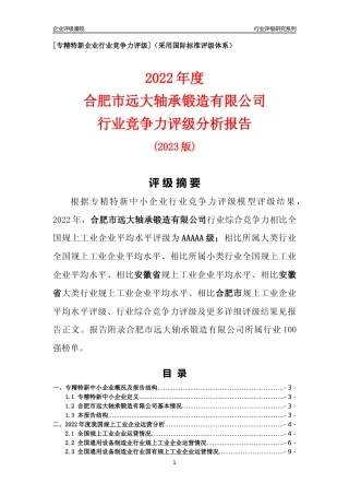 [专精特新]合肥市远大轴承锻造有限公司行业竞争力评级分析报告(2023版)