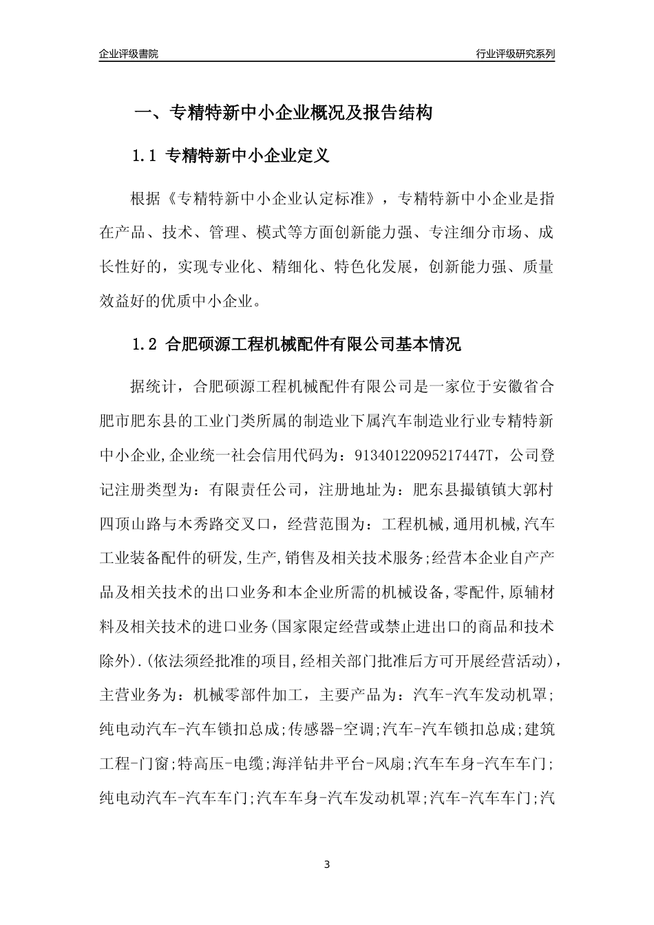 [专精特新]合肥硕源工程机械配件有限公司行业竞争力评级分析报告(2023版)_第3页