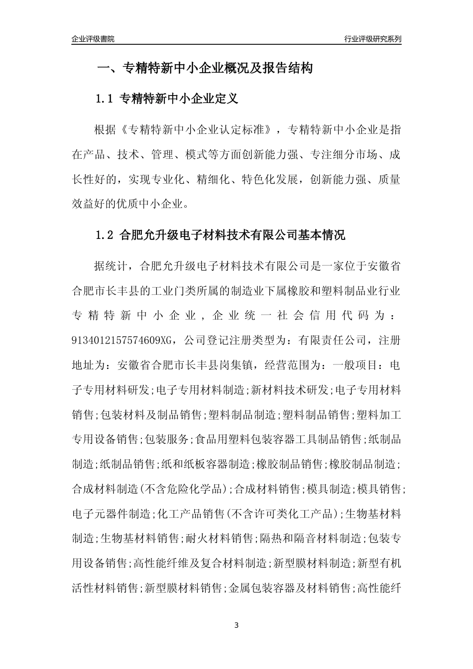 [专精特新]合肥允升级电子材料技术有限公司行业竞争力评级分析报告(2023版)_第3页