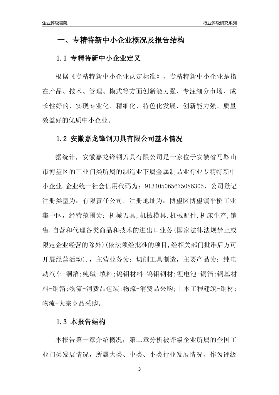 [专精特新]安徽嘉龙锋钢刀具有限公司行业竞争力评级分析报告(2023版)_第3页