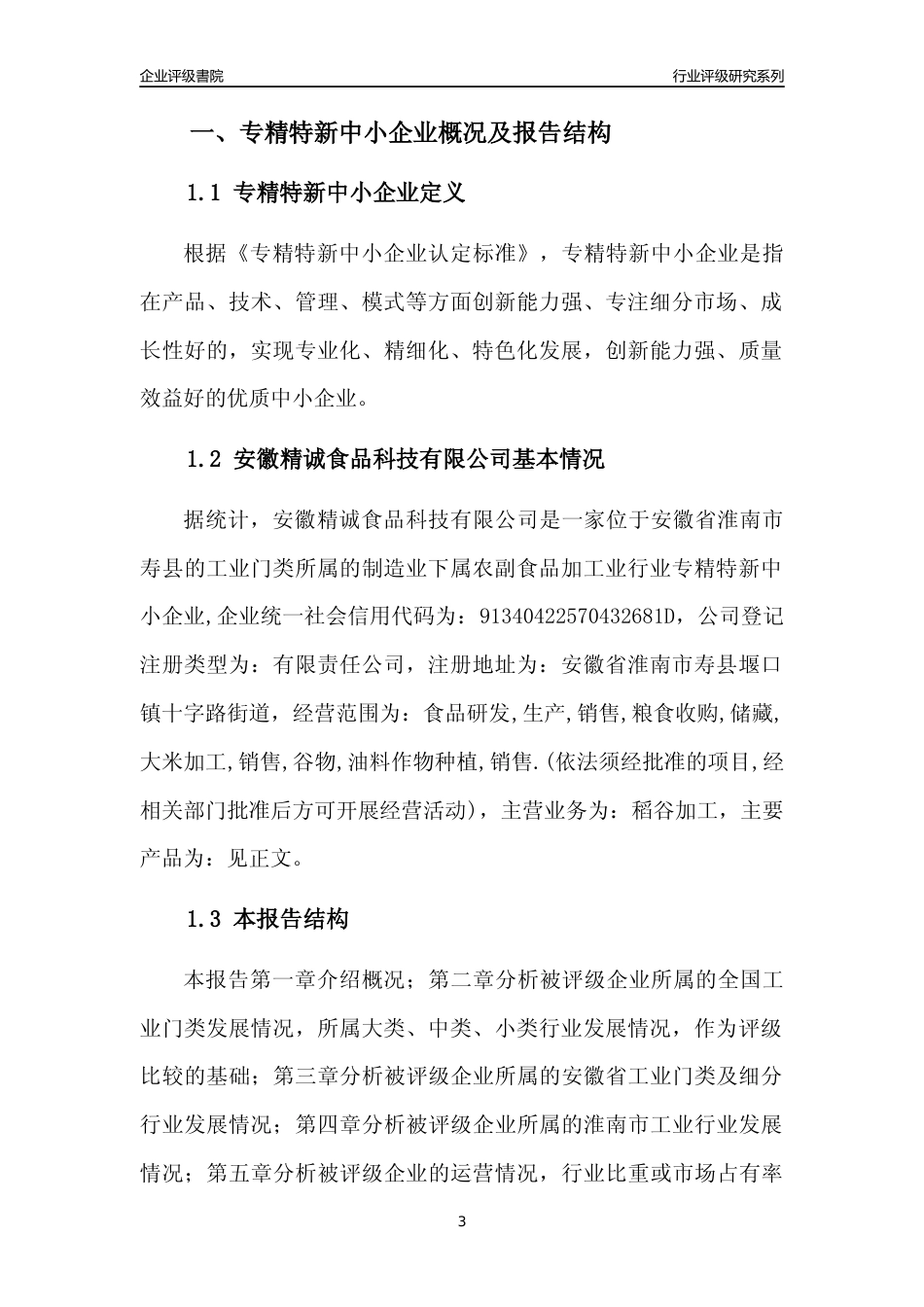 [专精特新]安徽精诚食品科技有限公司行业竞争力评级分析报告(2023版)_第3页