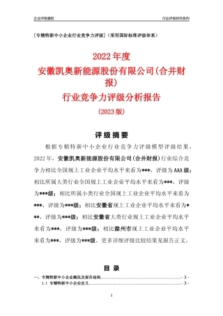 [专精特新]安徽凯奥新能源股份有限公司(合并财报)行业竞争力评级分析报告(2023版)