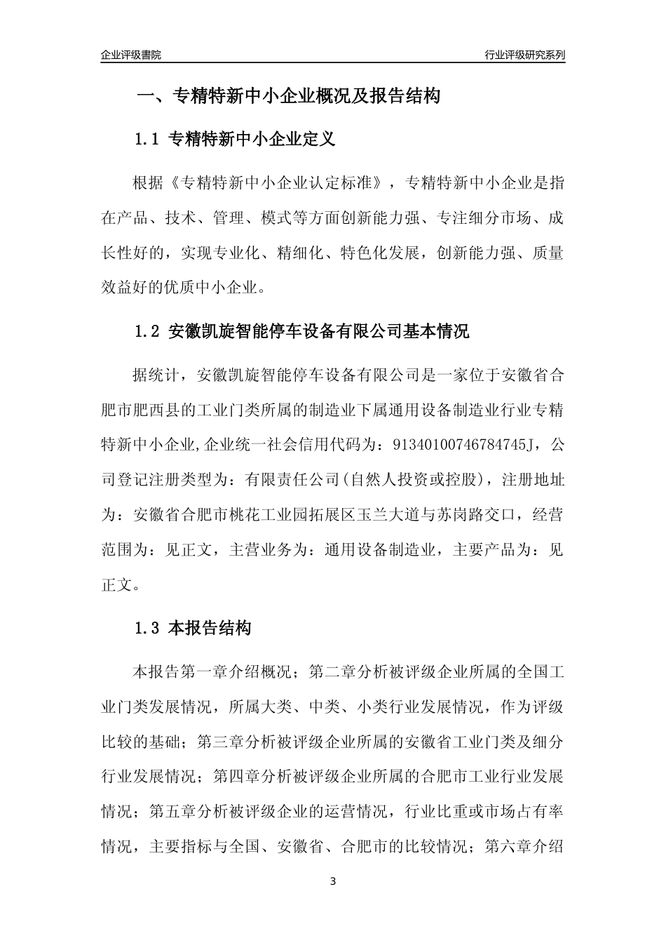 [专精特新]安徽凯旋智能停车设备有限公司行业竞争力评级分析报告(2023版)_第3页
